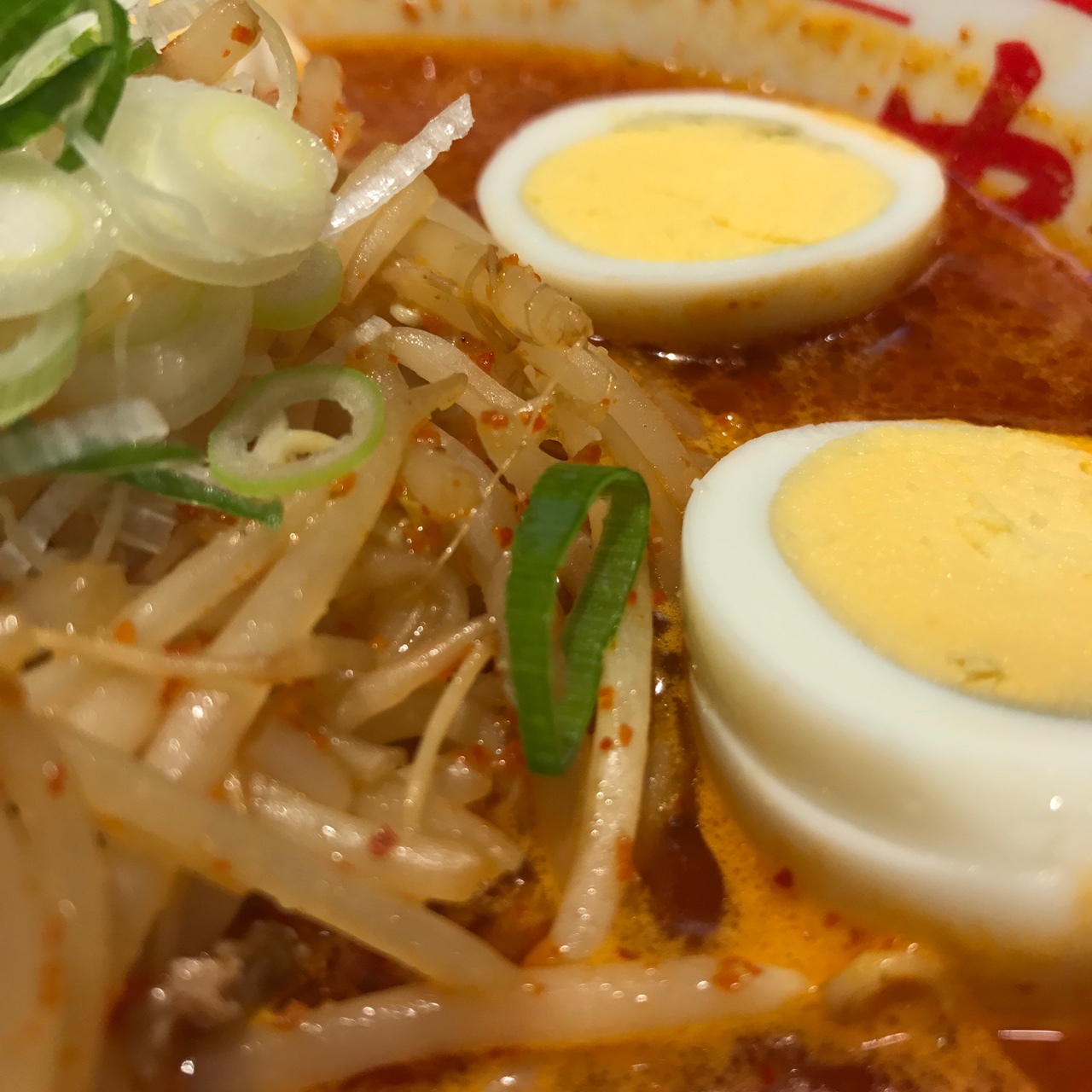 味噌卵麺接写